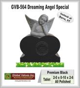 GVB-564 Special