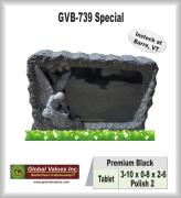 GVB-739 Special